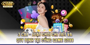3-cay-luat-choi-chi-tiet-va-quy-dinh-tai-cong-game-go88