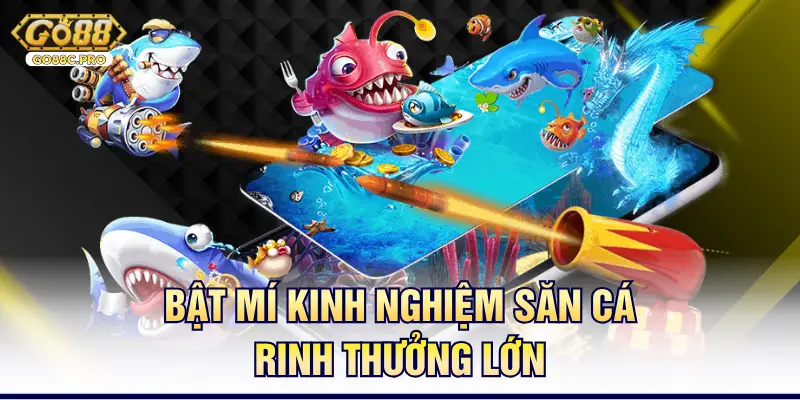 Bật mí kinh nghiệm săn cá rinh thưởng lớn