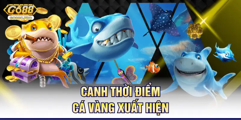 Canh thời điểm cá vàng xuất hiện 