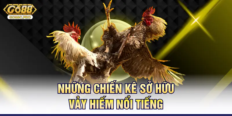 Những chiến kê sở hữu vảy hiếm nổi tiếng